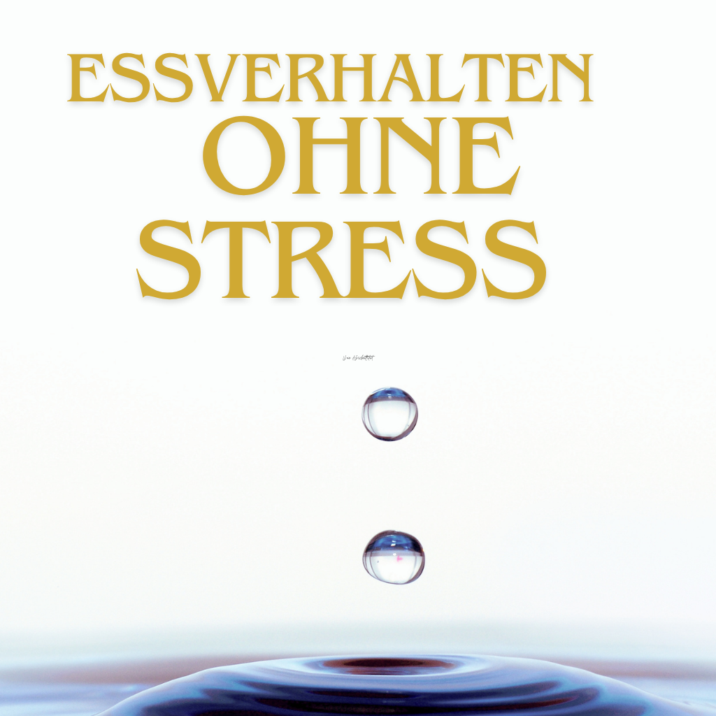 Essverhalten Ohne Stress 21 Tage MP3 Sofort Download