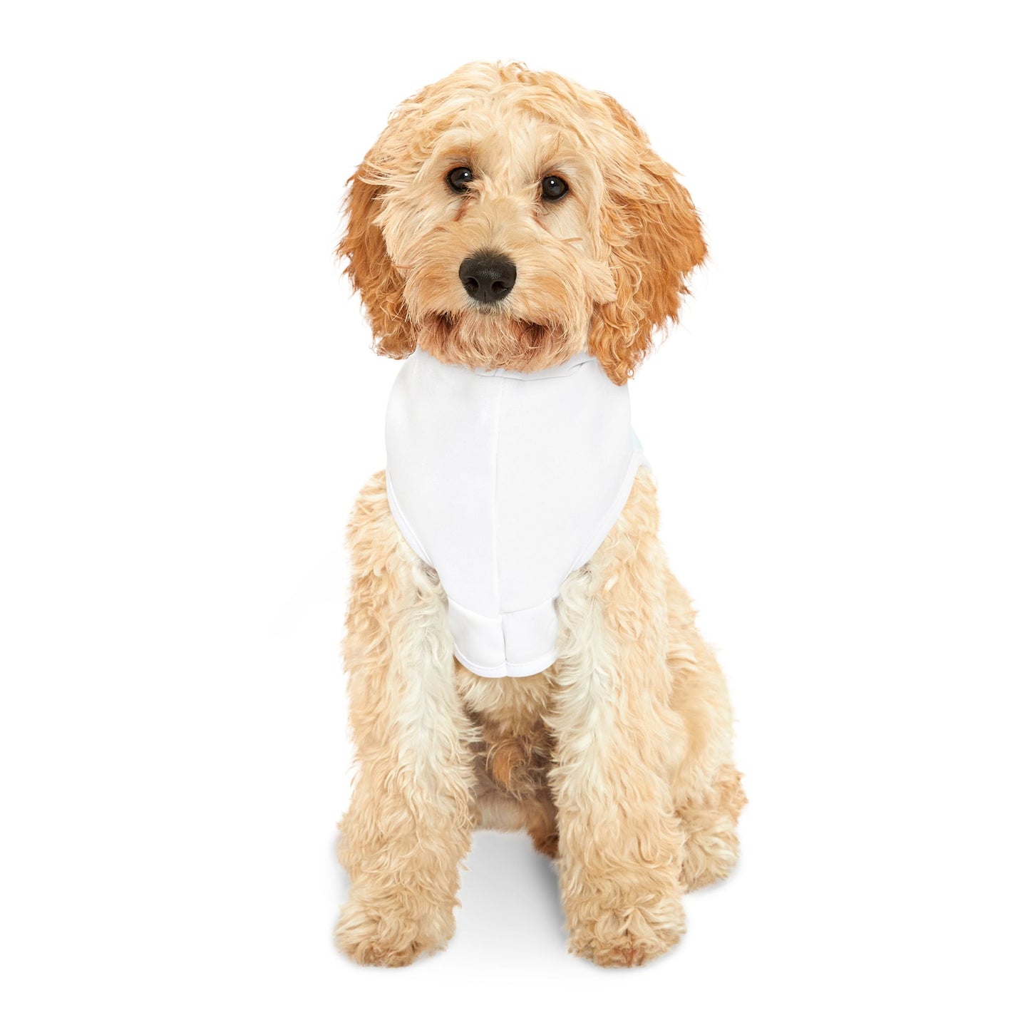 Infinity Pet Hoodie - Cozy and Stylish for Your Furry Friend